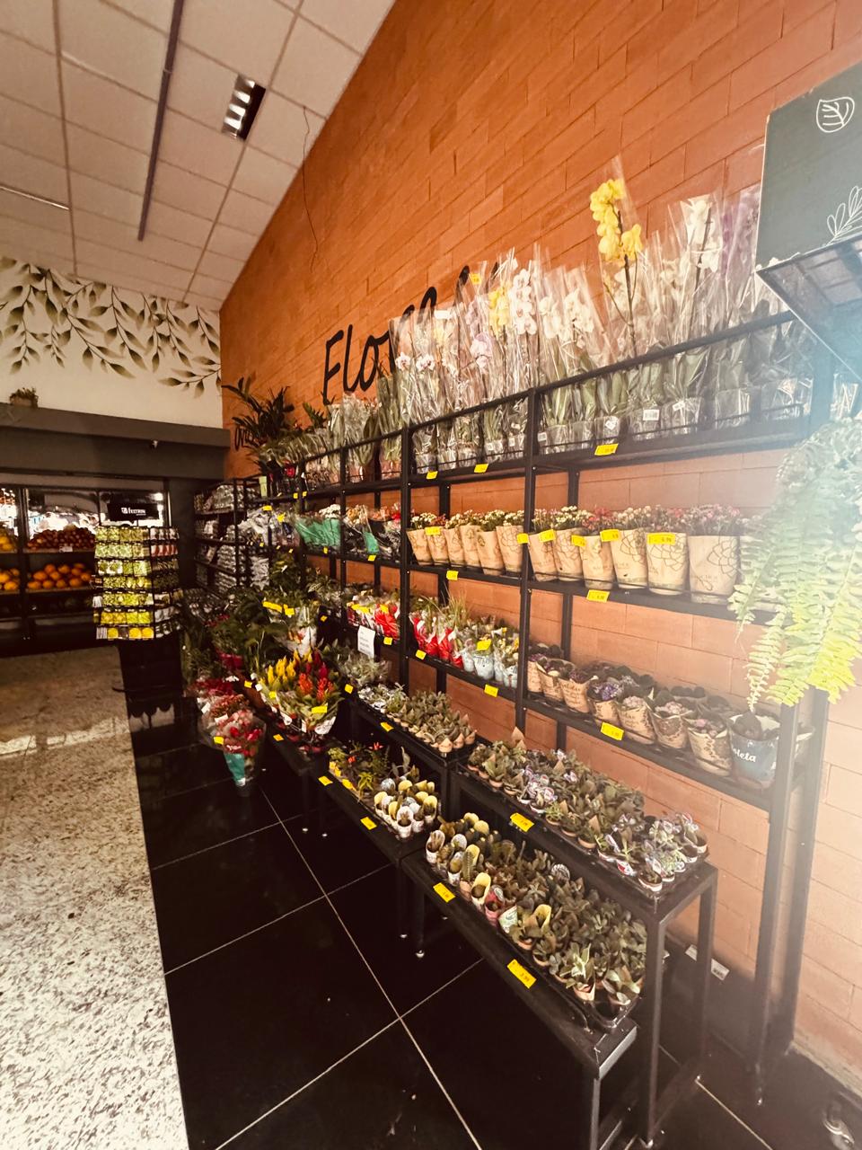 Projeto Supermercados & Adegas 18